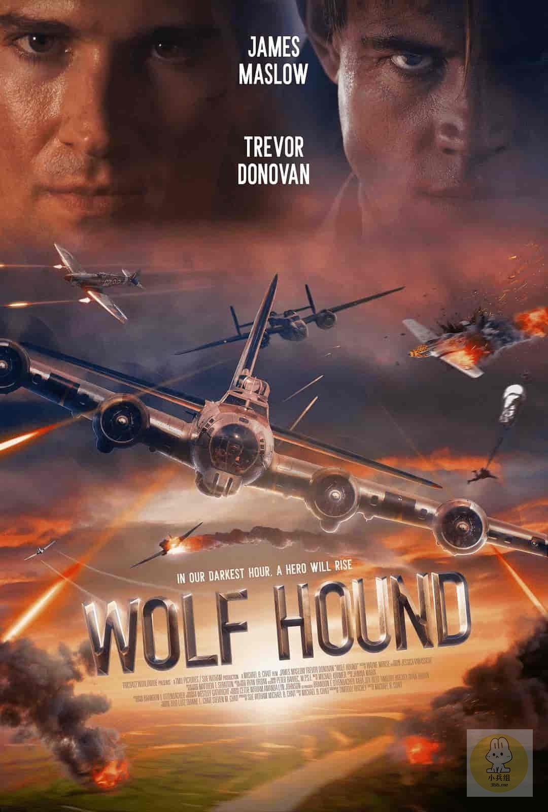 猎狼犬行动 Wolf Hound (2022)